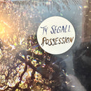 Ty Segall - Possession (LP) - Discords.nl