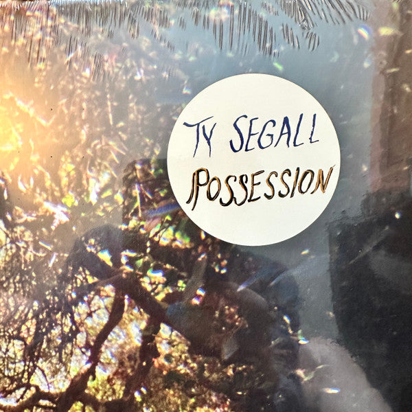 Ty Segall - Possession (LP)
