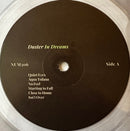 Duster - In Dreams (LP) - Discords.nl