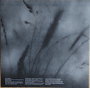 Rats On Rafts - Deep Below (LP) - Discords.nl