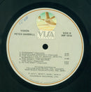 Peter Hammill - Vision (LP Tweedehands)