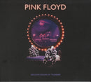 Pink Floyd - Delicate Sound Of Thunder (CD) - Discords.nl