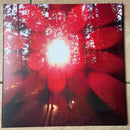 Russian Circles - Empros (LP) - Discords.nl