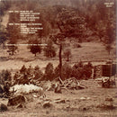 Joe Walsh - Barnstorm (LP Tweedehands) - Discords.nl