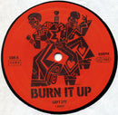 Beatmasters, The With P.P. Arnold - Burn It Up (12" Tweedehands)