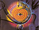 Santana - Shaman (CD) - Discords.nl