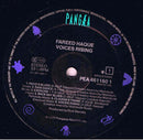 Fareed Haque - Voices Rising (LP Tweedehands)