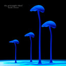 Pineapple Thief, The - Build A World (CD) - Discords.nl