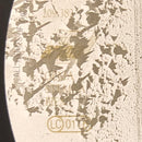 Frank Boeijen Groep - Dans In Slow-Motion (LP Tweedehands) - Discords.nl