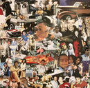 Beastie Boys - Check Your Head (LP)