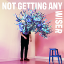 Panda Noir - Not Getting Any Wiser (EP)