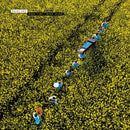 Pavey Ark - More Time, More Speed (LP) - Discords.nl