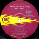 Rick James - Bustin' Out Of L Seven (LP Tweedehands)