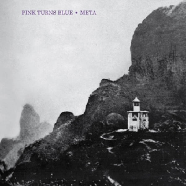 Pink Turns Blue - Meta (LP) - Discords.nl