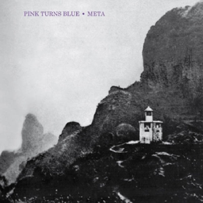 Pink Turns Blue - Meta (LP) - Discords.nl