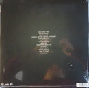 Daft Punk - Discovery (LP) - Discords.nl