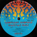 Anderson Bruford Wakeman Howe - Anderson Bruford Wakeman Howe (LP Tweedehands)