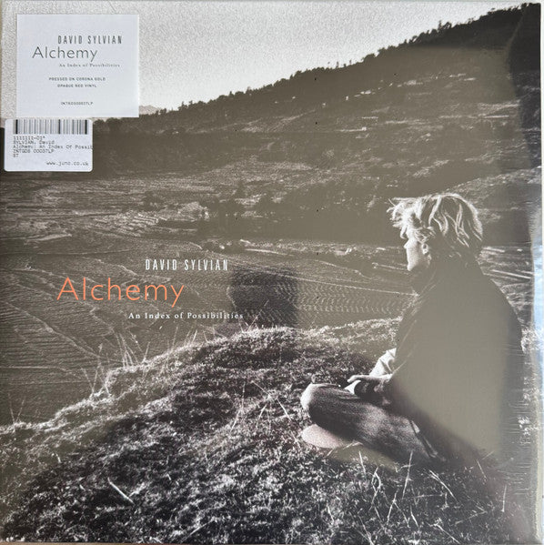 David Sylvian - Alchemy An Index Of Possibilities (LP)