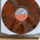 High Vis - Guided Tour (LP) - Discords.nl