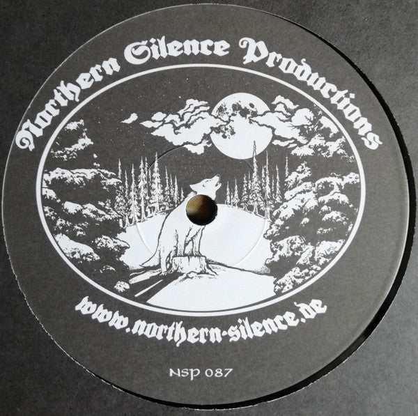 Gallowbraid - Ashen Eidolon (LP Tweedehands)