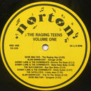Various - The Raging Teens Volume 1 (LP Tweedehands) - Discords.nl