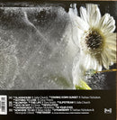 Tinlicker - Cold Enough For Snow (LP) - Discords.nl