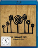 Pineapple Thief, The - Nothing But The Truth (DVD Tweedehands)