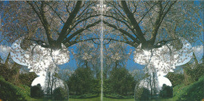 Jamiroquai - Synkronized (CD Tweedehands)