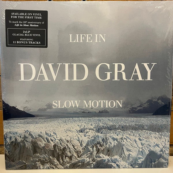 David Gray - Life In Slow Motion (LP)
