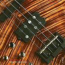 L.A. Zoo, Bunny Brunel Featuring Vivian Campbell, Brian Auger, Virgil Donati, Bunny Brunel Special Guests Ray Gomez, Mike Stern - Revisited (CD Tweedehands) - Discords.nl