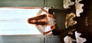 Florence And The Machine - Everybody Scream (LP)