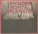 Unknown Mortal Orchestra - Unknown Mortal Orchestra (CD) - Discords.nl