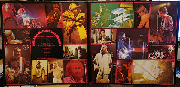 Beach Boys, The - In Concert (LP Tweedehands)