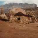 Josephine Foster - Domnestic sphere (LP) - Discords.nl