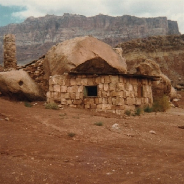 Josephine Foster - Domnestic sphere (LP) - Discords.nl