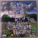 Tkay Maidza - Last Year Was Weird, Vol. 3 (LP)