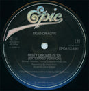Dead Or Alive - You Spin Me Round (Like A Record) (Murder Mix) (12" Tweedehands) - Discords.nl