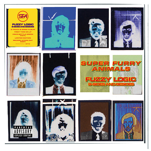 Super Furry Animals - Fuzzy Logic B-Sides And Besides (LP)