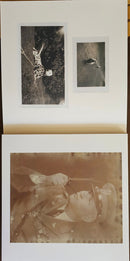 Eels - Blinking Lights And Other Revelations (LP) - Discords.nl