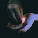 Bambara - Stray (LP) - Discords.nl