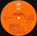 Biddu Orchestra - Rain Forest (LP Tweedehands)