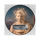 Offspring, The - Splinter (LP) - Discords.nl