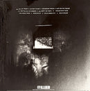 This Is The Kit - Moonshine Freeze (LP) - Discords.nl