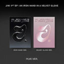 Jini - An iron hand in a velvet glove (accessoires) - Discords.nl