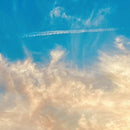 30 Seconds To Mars - It's The End Of The World, But It's A Beautiful Day (15-9-2023) (LP) - Discords.nl