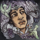Jimi Hendrix - Best of james marshall hendrix (redux) (LP) - Discords.nl