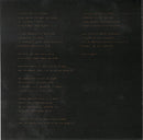 David Grubbs - The Thicket (CD Tweedehands) - Discords.nl