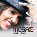 Terri Lyne Carrington - Mosaic project: love & soul (CD) - Discords.nl