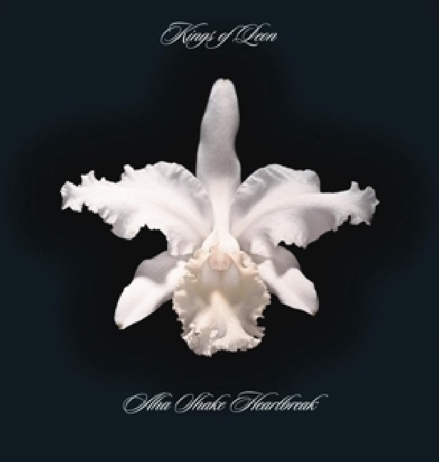 Kings Of Leon - Aha shake heartbreak (LP) - Discords.nl