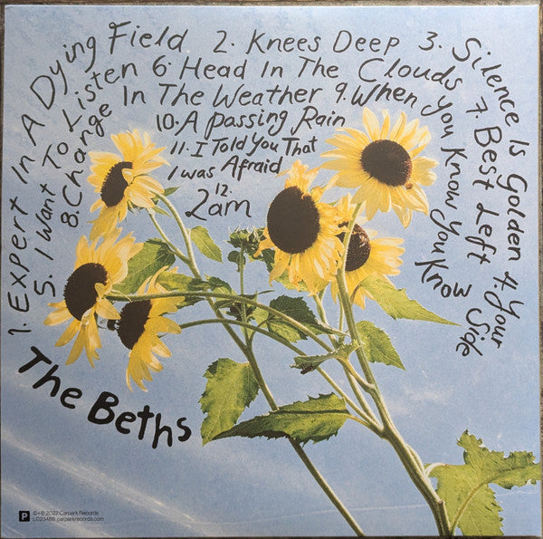 Beths, The - Expert In A Dying Field (LP) - Discords.nl